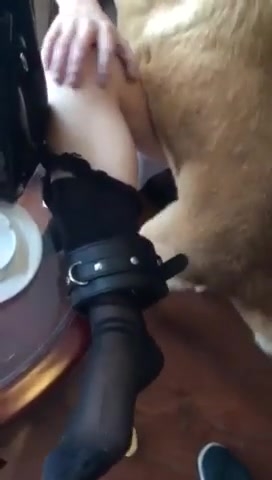 这样子玩这口味就有重了