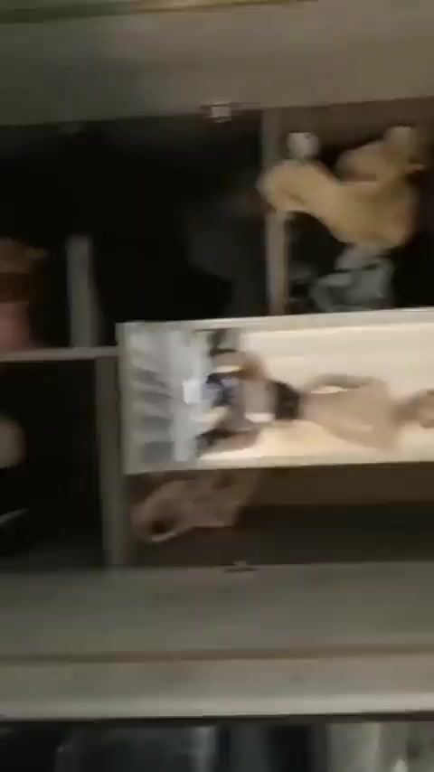 “骂我打我 爸爸 使劲我是骚逼是贱货”欲求不满的高颜值反差女主播，满嘴骚话一边被操还求虐爆操无毛嫩穴1