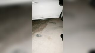 两个骚女深夜驾车户外！没穿内裤塞着跳蛋！蹲着野外尿尿，深喉插嘴吐了，翘起屁股摸穴后入