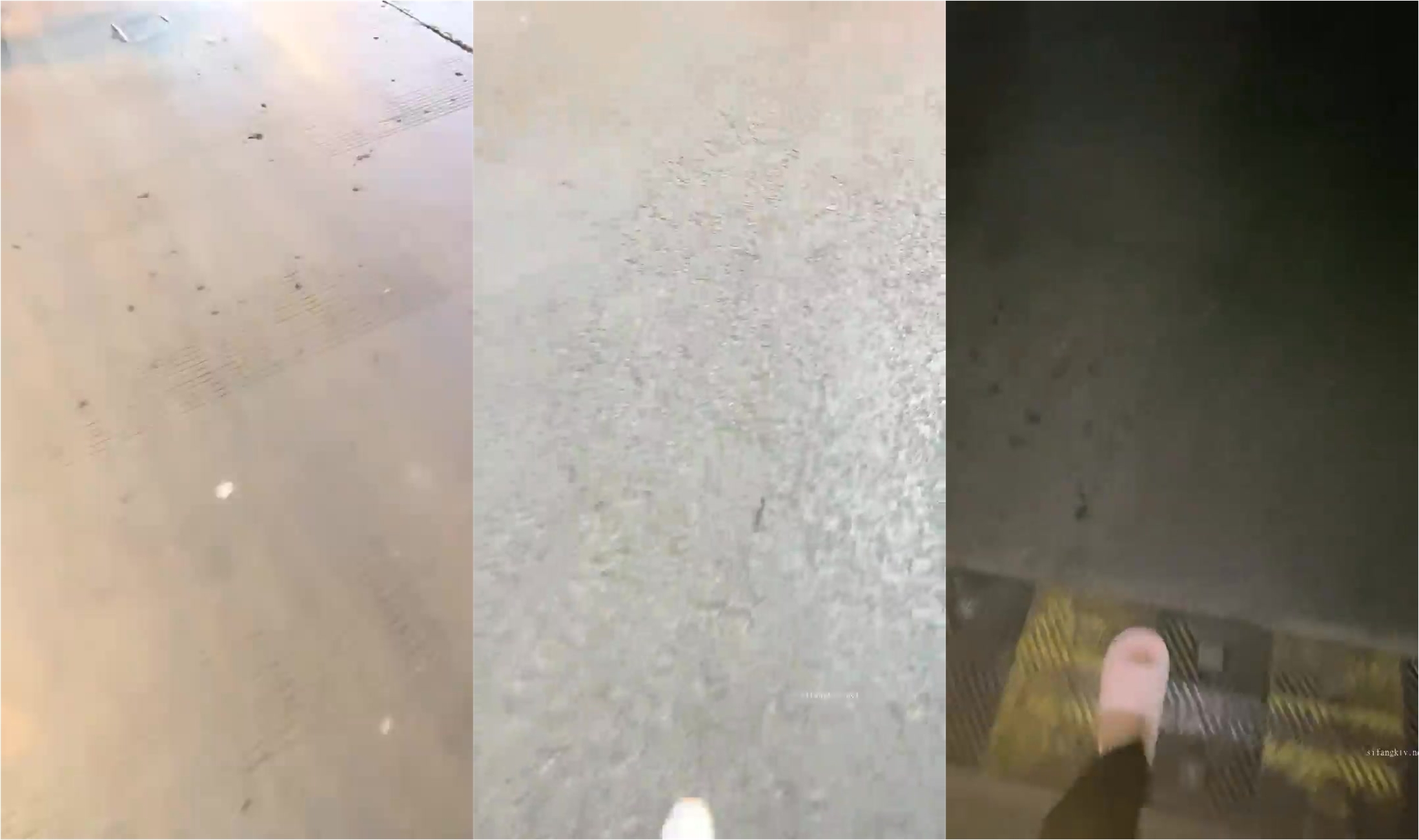 【云南第一深情】PUA妹妹系列二  害羞耐操小美女 昨天之后继续3P，放不开 衣服脱了 佳作 (4)