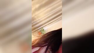 完美炮架【也御】2