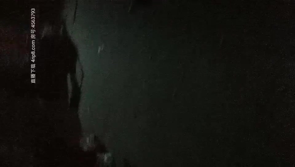 【站街女探花】嫖客老司机城中村性地探秘连续快餐两个几十元的站街女