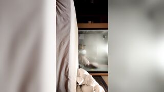 【快乐三人行】北京换妻圈资深单男，约人妻酒店钟点房再续前缘，坚挺美乳，清秀熔岩，超清画质，激情四射撸管佳作