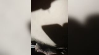 天津二甲医院小凉亭约值班女护士、树下啪啪，小护士骚气冲天，女：你要割包皮了，改天来医院我给你割。男：你再吃我就要射了，干吧！