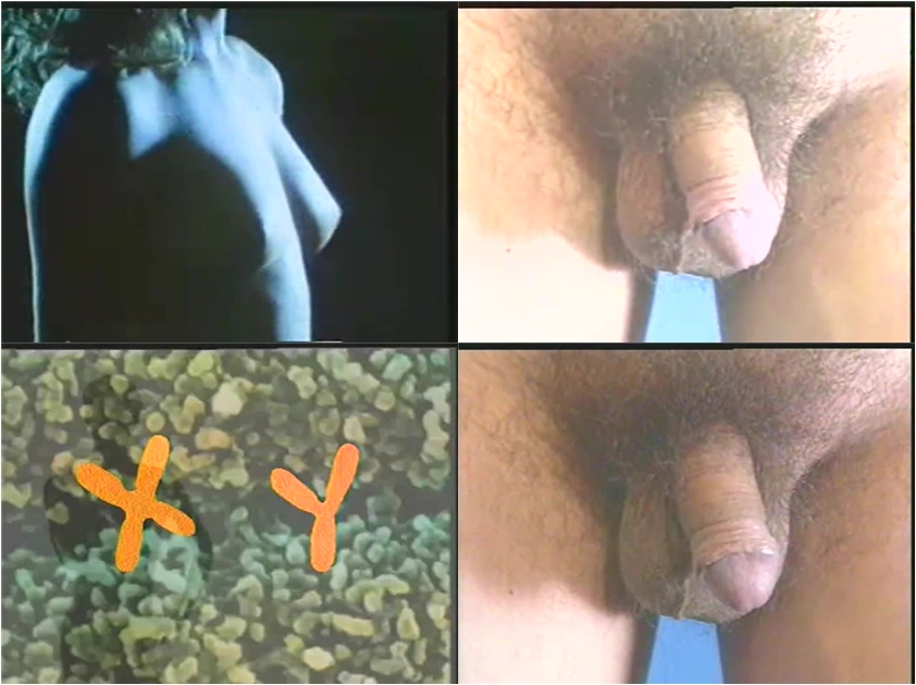 稀有资源科普性教育卫生部研究内部资料真人示范，男女生殖健康科普，国语中字 - 91XX视频->
